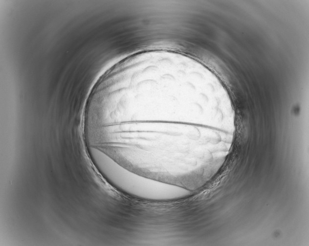 X0000098221044200805221644