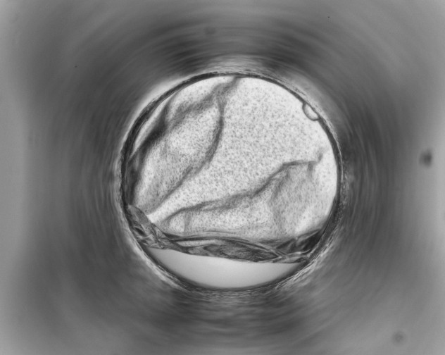 X0000098221045200805221644