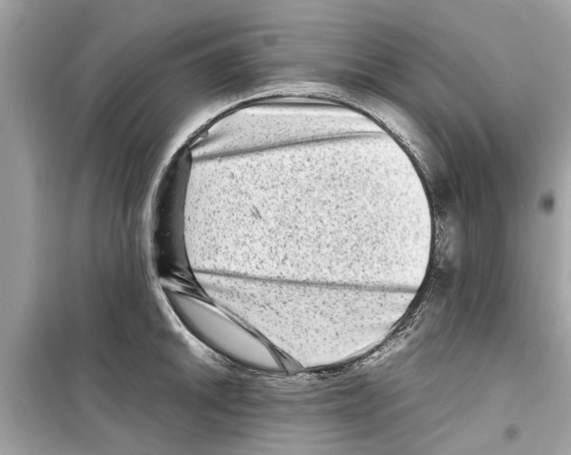 X0000098221046200805221644