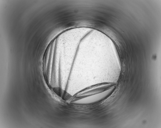 X0000098221047200805221644