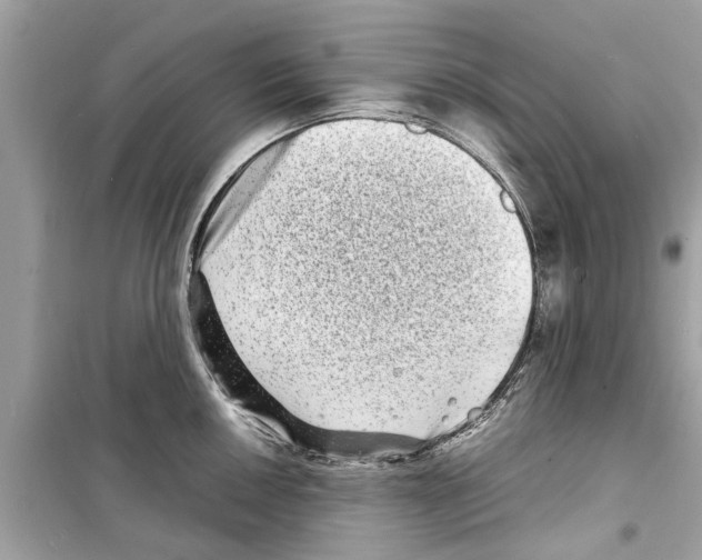 X0000098221050200805221644