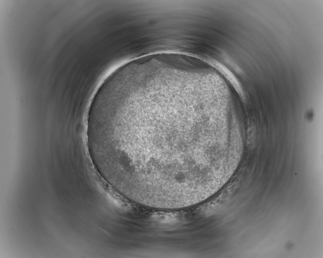 X0000098221051200805221644