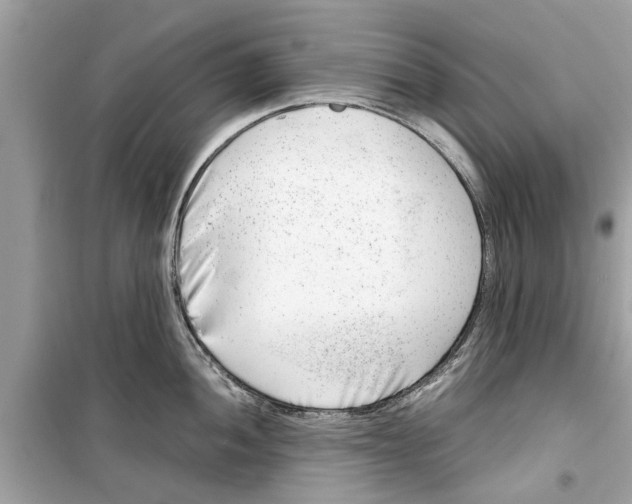 X0000098221052200805221644
