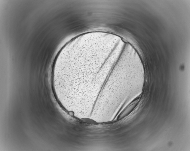 X0000098221054200805221644