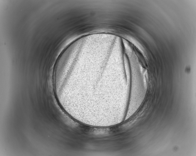 X0000098221055200805221644