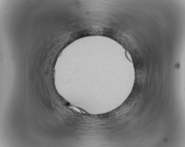 X0000098221057200805221643