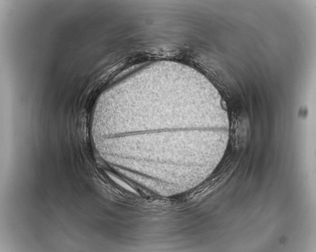 X0000098221058200805221643