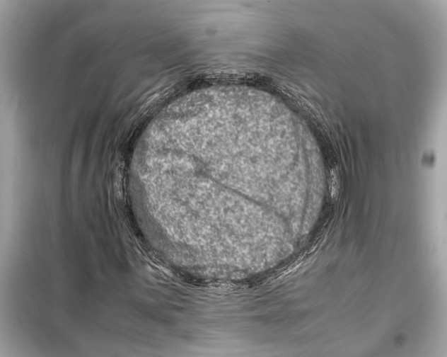 X0000098221059200805221643