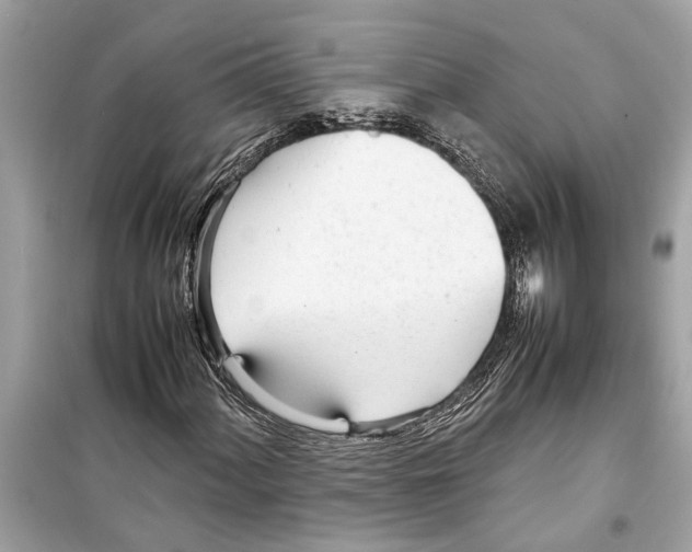 X0000098221060200805221643