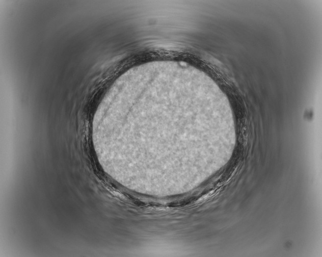 X0000098221061200805221643