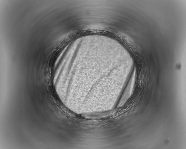 X0000098221062200805221643
