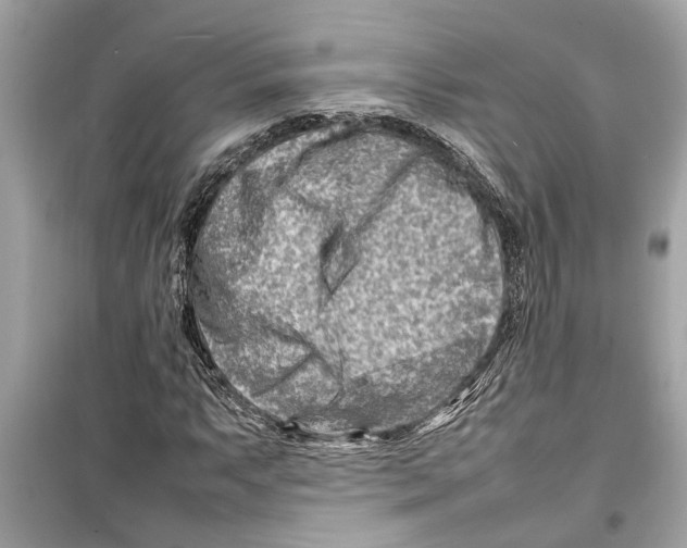 X0000098221063200805221643