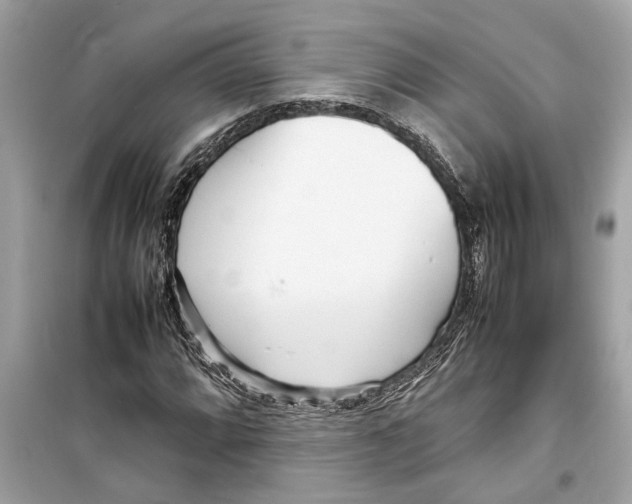 X0000098221064200805221643