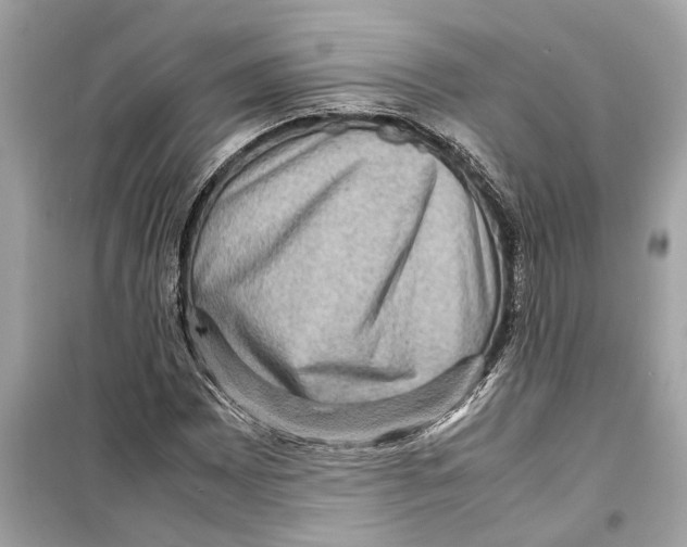 X0000098221065200805221643