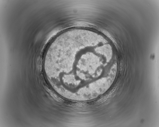 X0000098221067200805221643