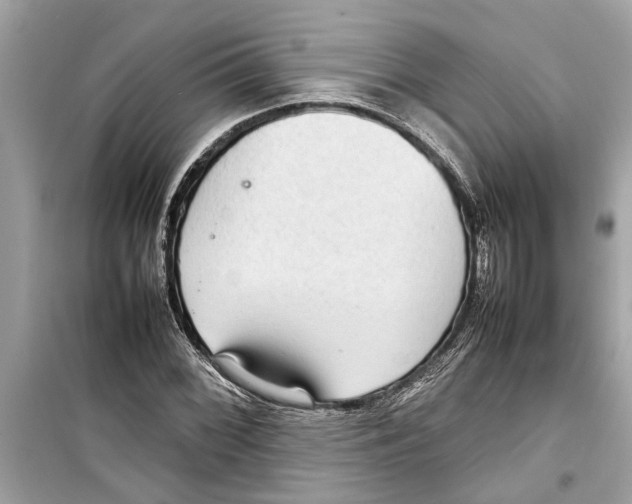X0000098221068200805221643