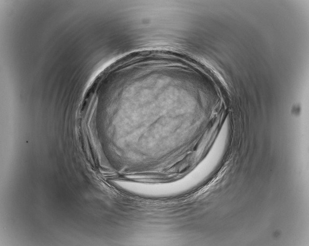 X0000098221069200805221643