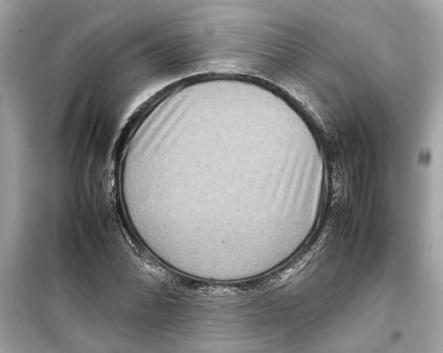 X0000098221070200805221643