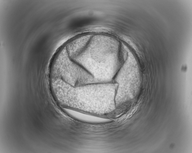 X0000098221071200805221643