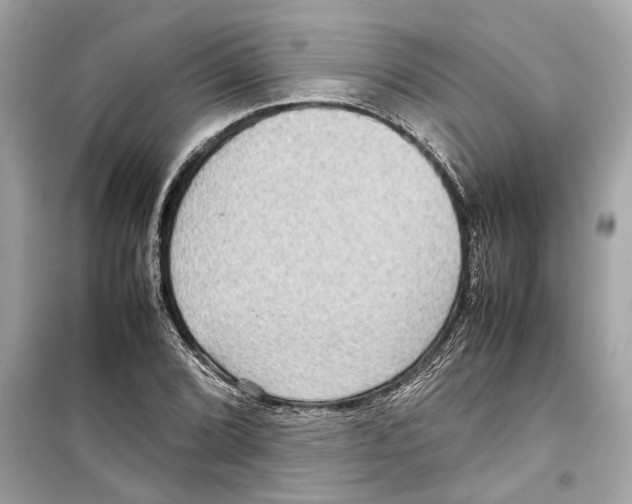 X0000098221072200805221643
