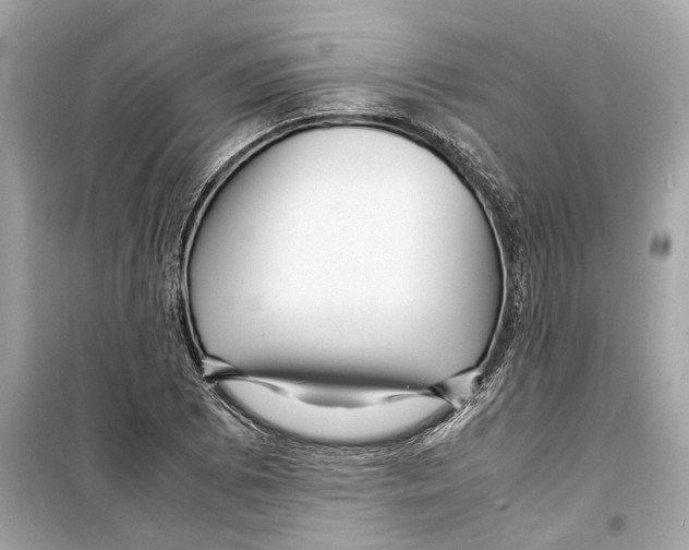 X0000098221073200805221643