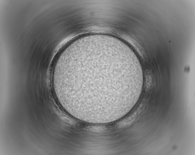 X0000098221074200805221643