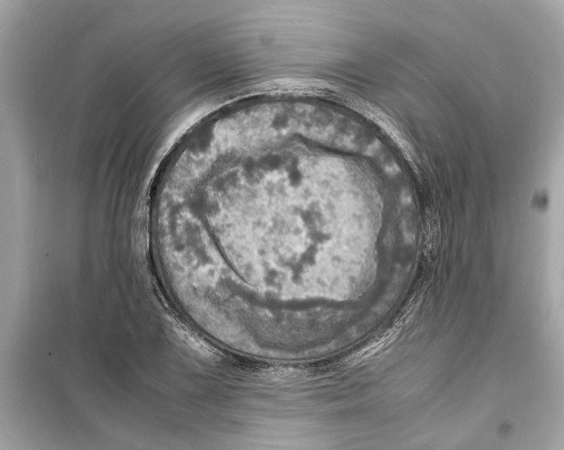 X0000098221075200805221643