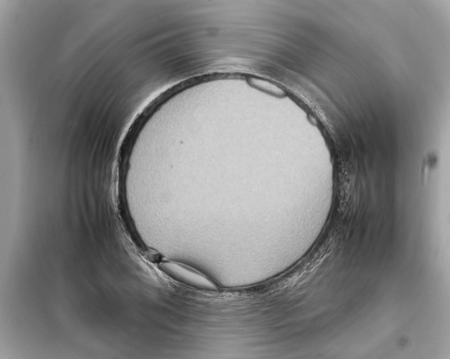 X0000098221076200805221643