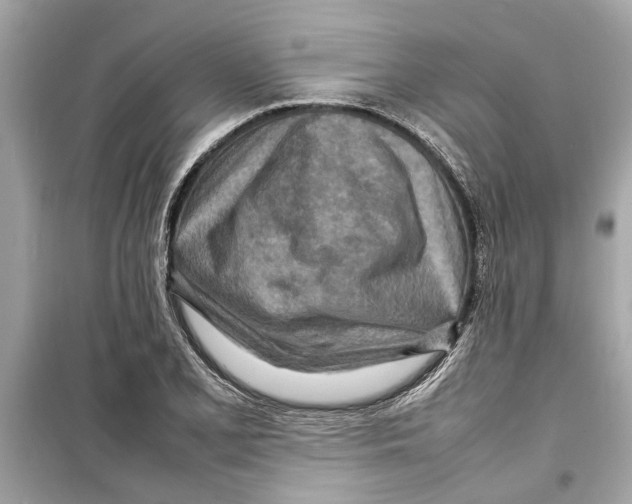 X0000098221077200805221643