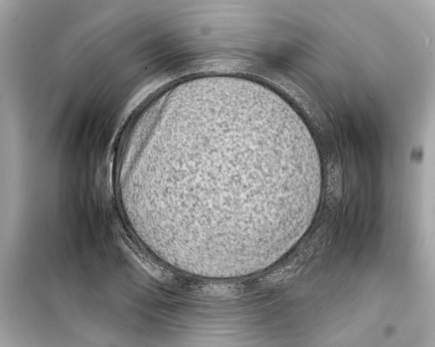 X0000098221078200805221643
