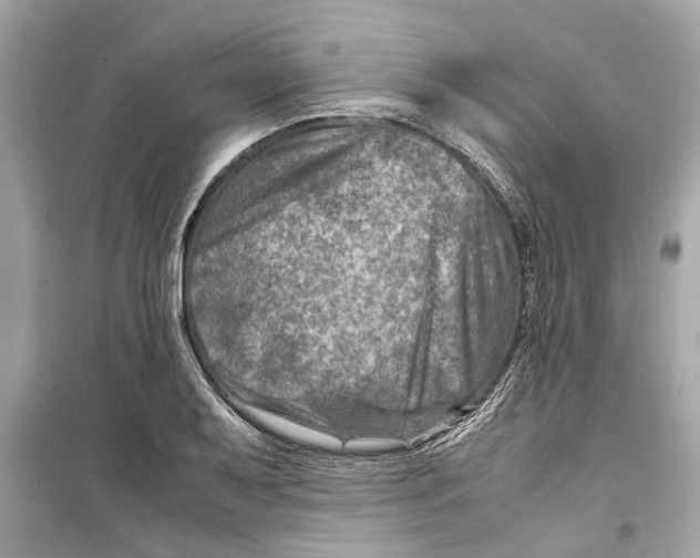 X0000098221079200805221643
