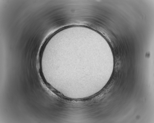 X0000098221080200805221643