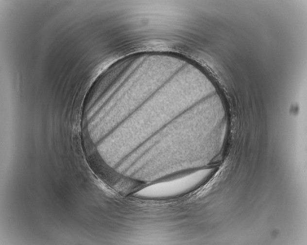X0000098221081200805221643