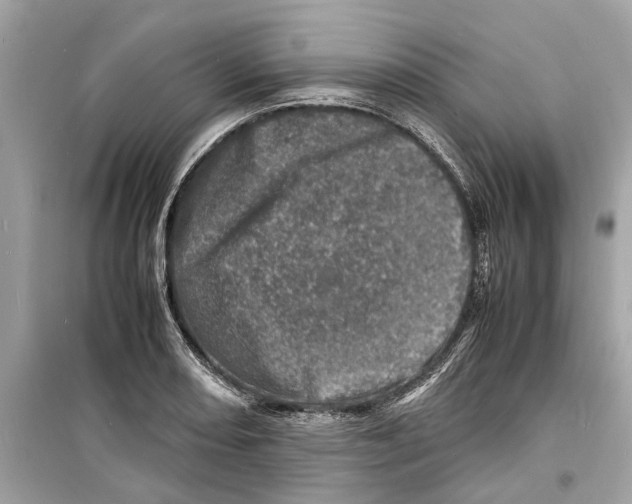 X0000098221082200805221643