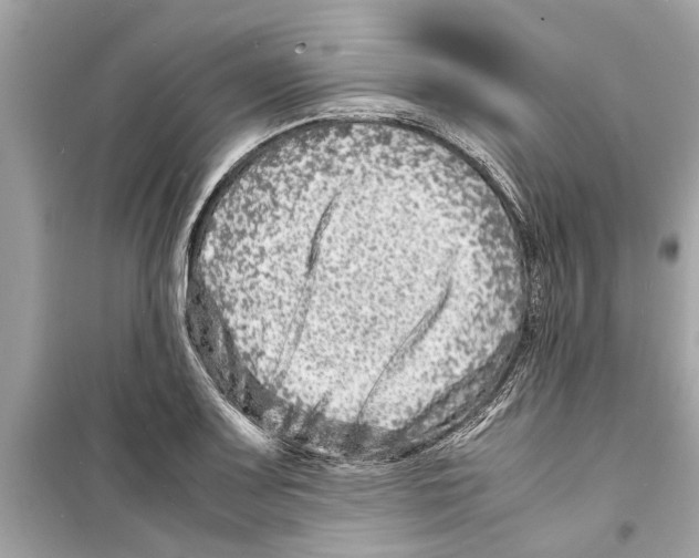 X0000098221083200805221643