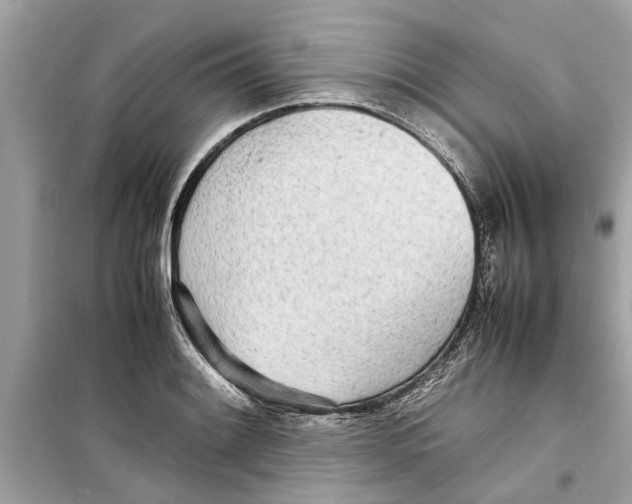 X0000098221084200805221643
