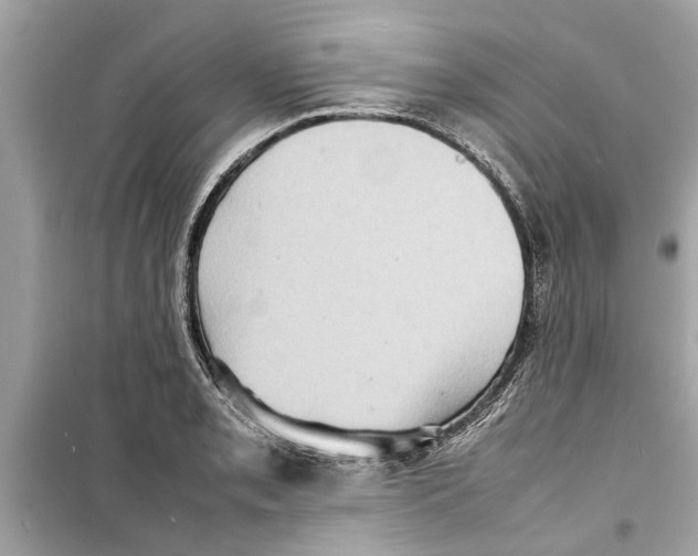 X0000098221085200805221643