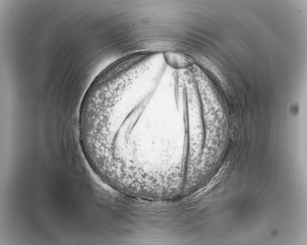 X0000098221087200805221643