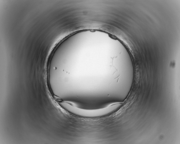 X0000098221088200805221643