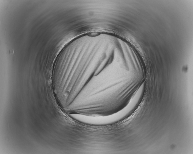 X0000098221089200805221643