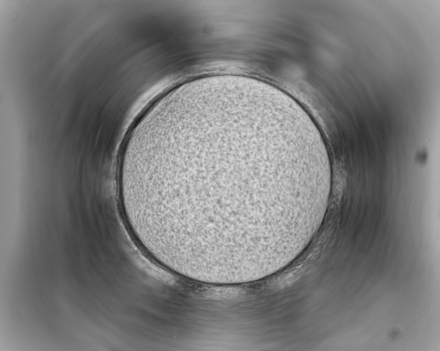 X0000098221090200805221643