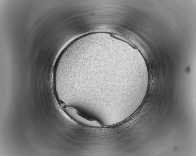 X0000098221092200805221643