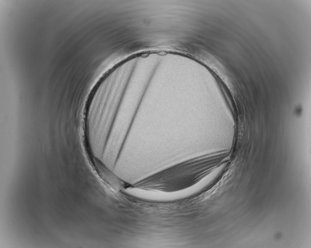 X0000098221093200805221643
