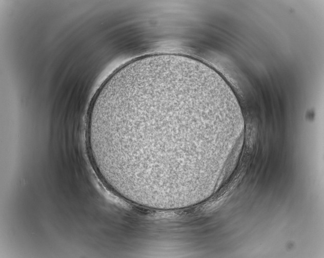 X0000098221094200805221643