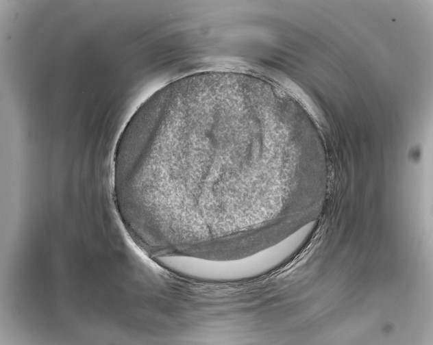 X0000098221095200805221643