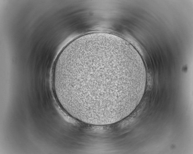 X0000098221098200805221643