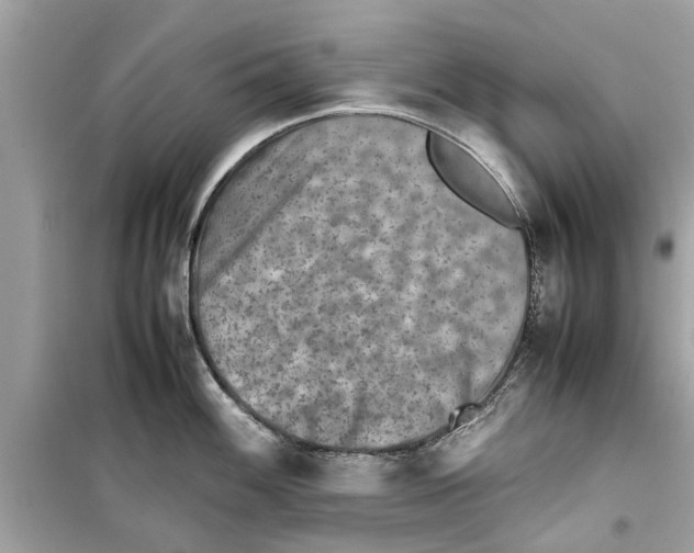 X0000098221100200805221643