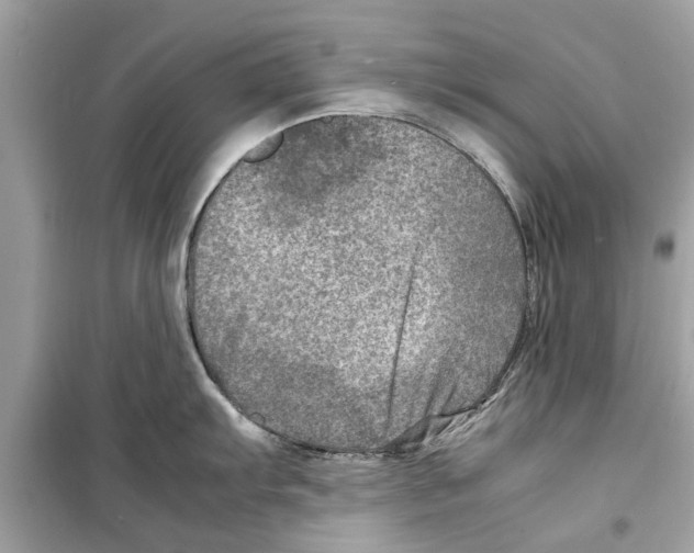 X0000098221103200805221643