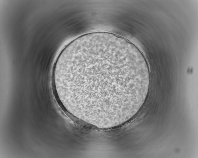 X0000098221104200805221643