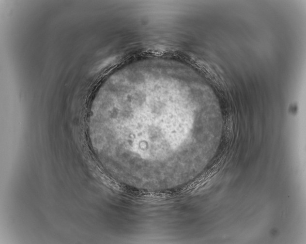 X0000098221105200805221642